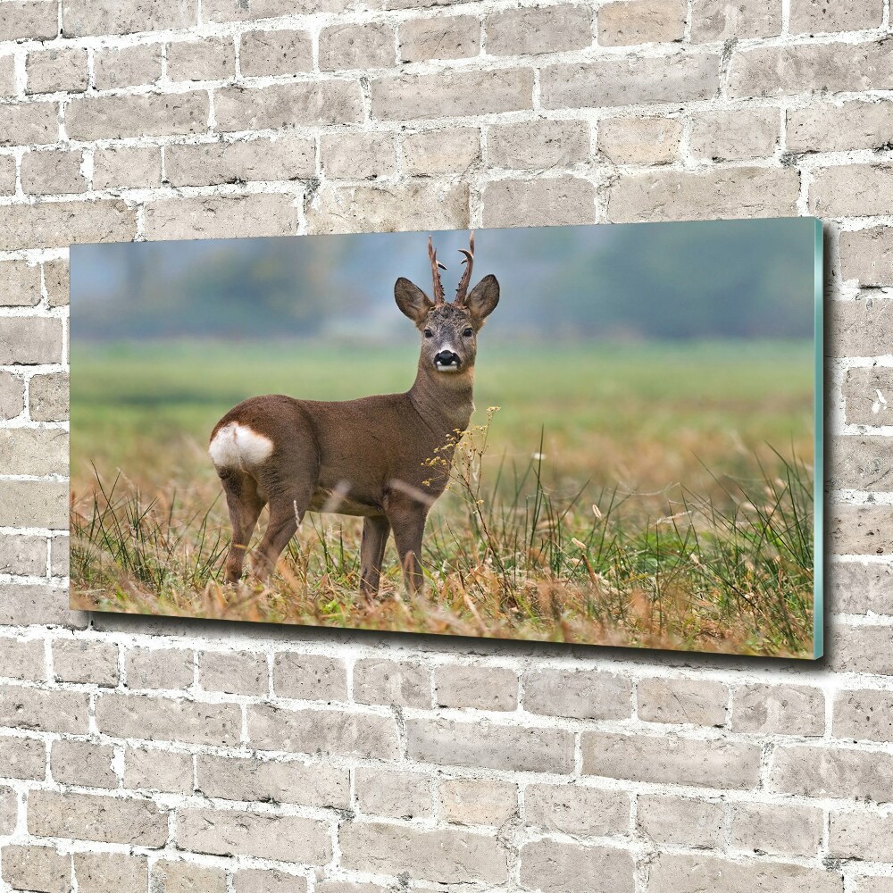 Tableau sur verre Cerf