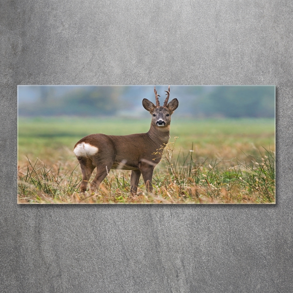 Tableau sur verre Cerf