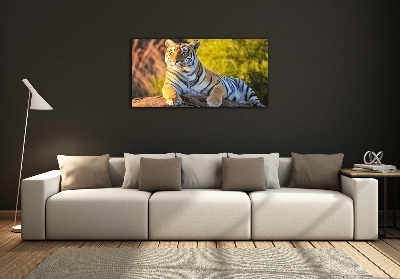 Tableau verre imprimé Portrait d'un tigre