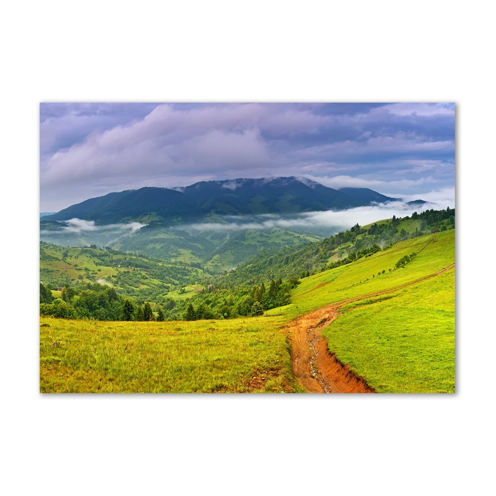 Tableau en verre Collines vertes