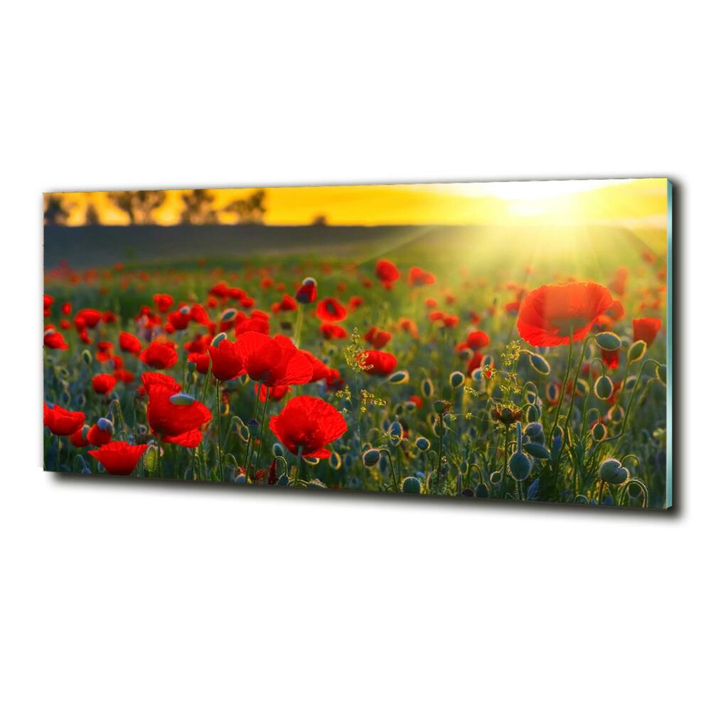 Tableau sur verre Champ de coquelicots