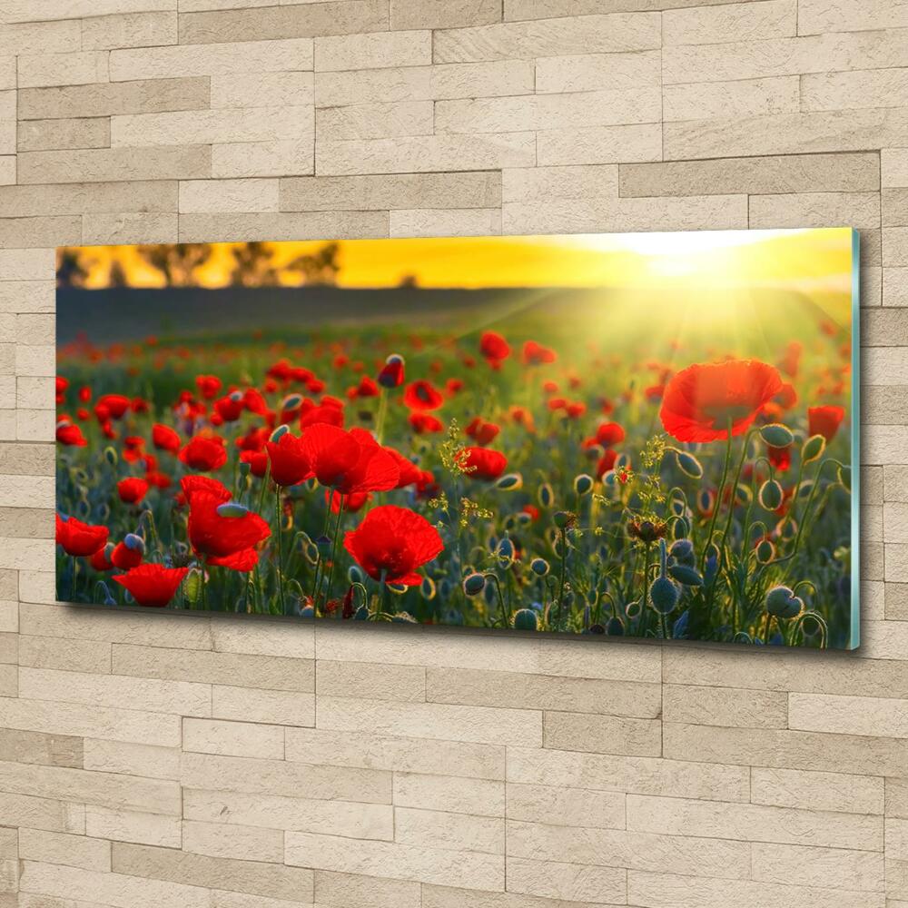 Tableau sur verre Champ de coquelicots