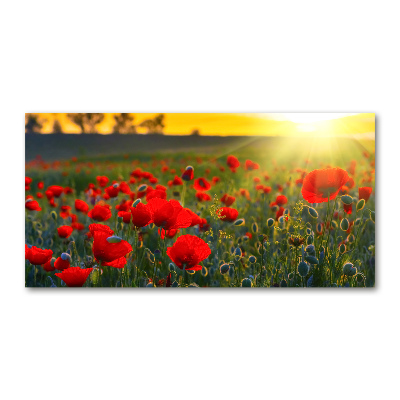 Tableau sur verre Champ de coquelicots