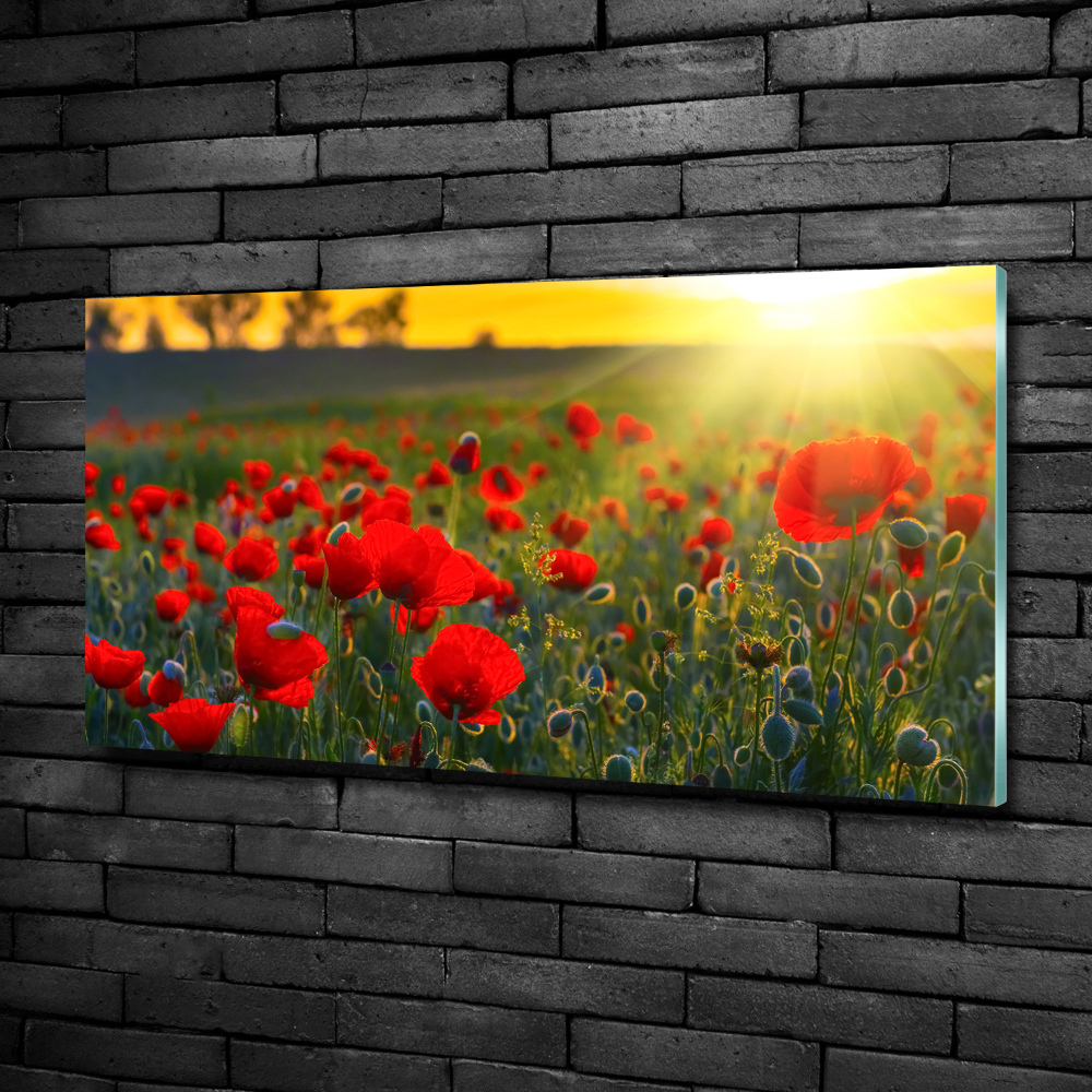 Tableau sur verre Champ de coquelicots