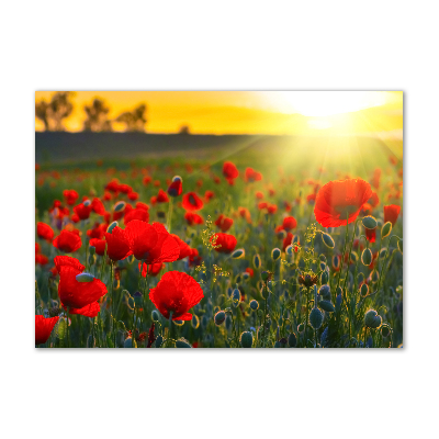 Tableau sur verre Champ de coquelicots