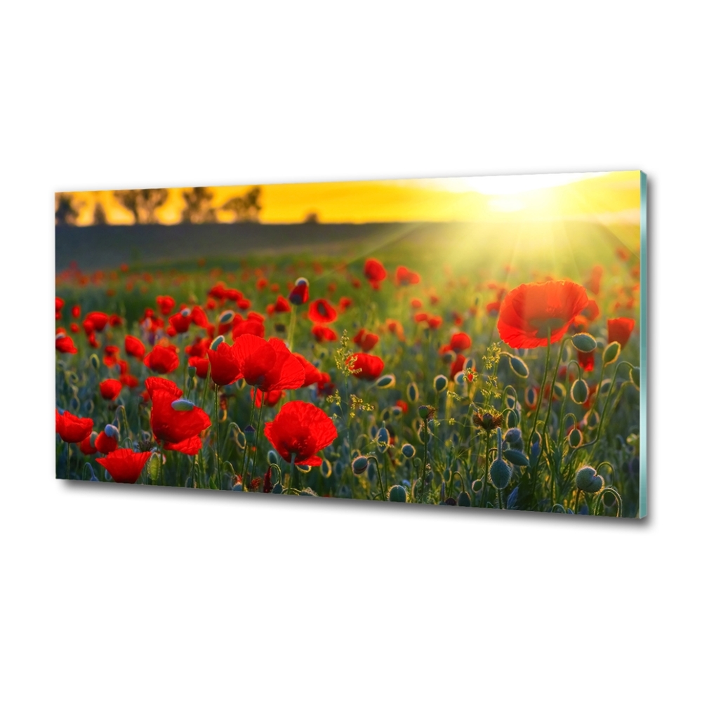 Tableau sur verre Champ de coquelicots