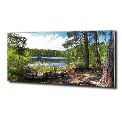 Tableau photo sur verre Panorama de la forêt