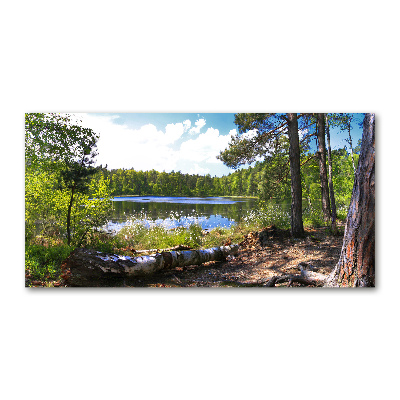 Tableau photo sur verre Panorama de la forêt