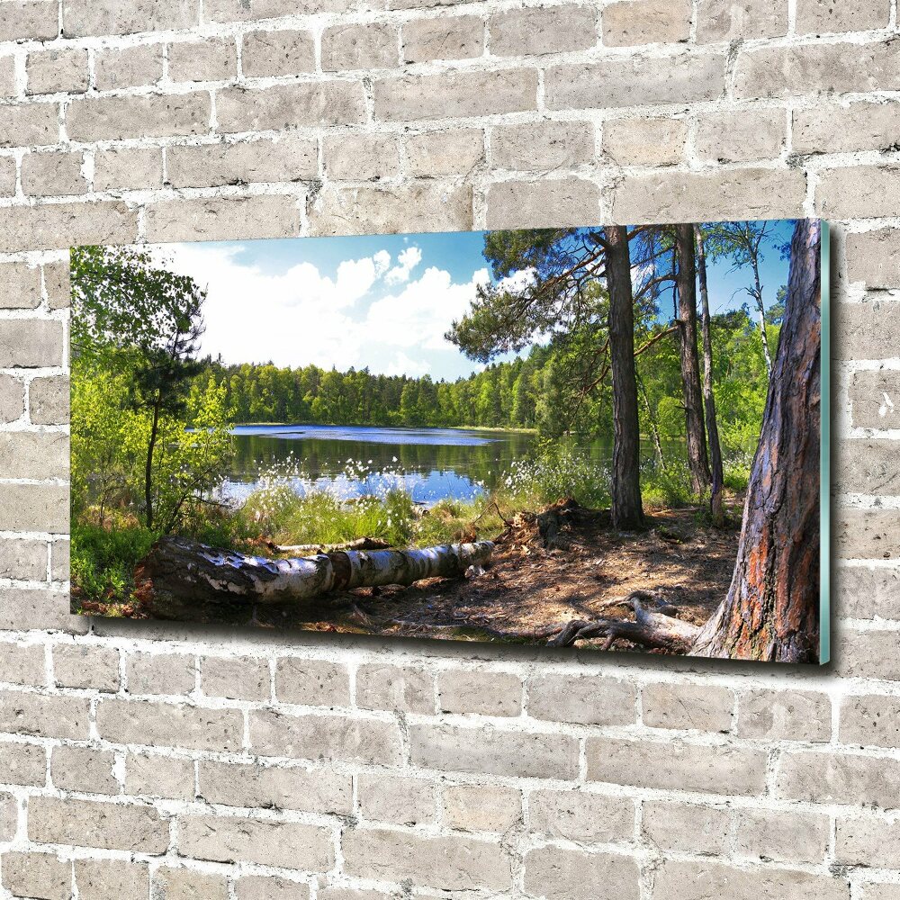 Tableau photo sur verre Panorama de la forêt