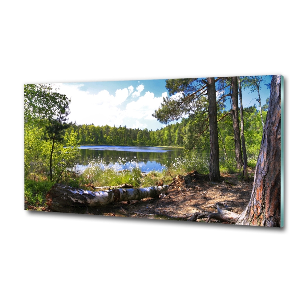 Tableau photo sur verre Panorama de la forêt