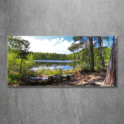 Tableau photo sur verre Panorama de la forêt