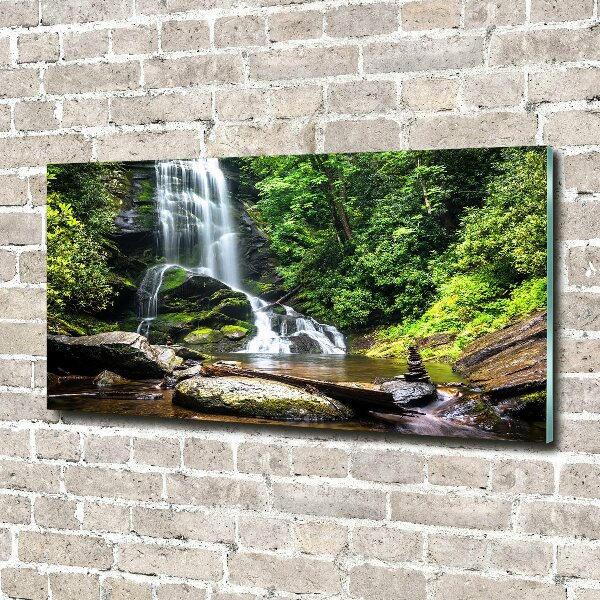Tableau verre imprimé Cascade en forêt