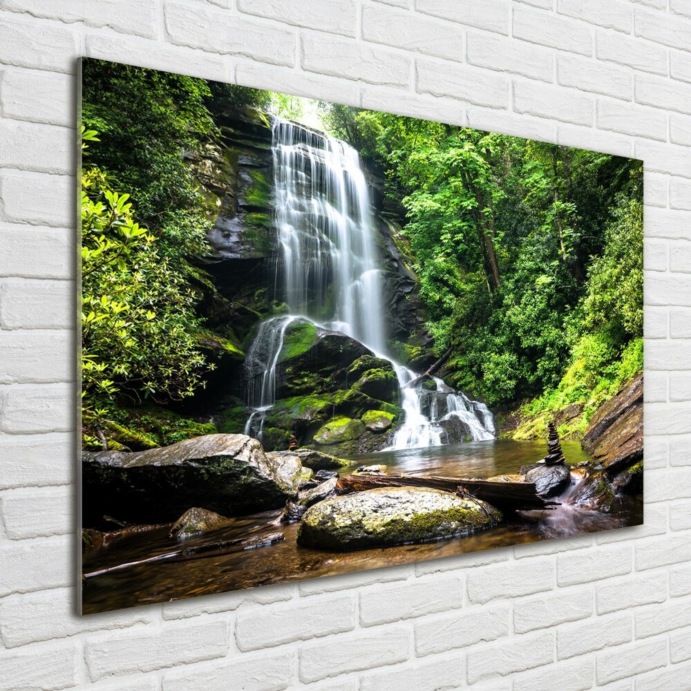 Tableau verre imprimé Cascade en forêt