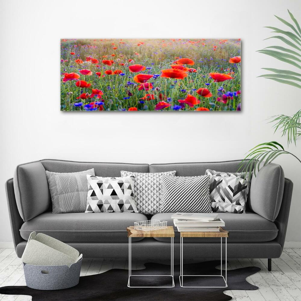 Tableau photo sur verre Fleurs de champ