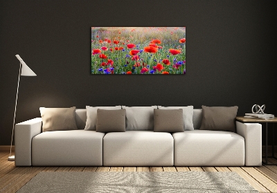 Tableau photo sur verre Fleurs de champ