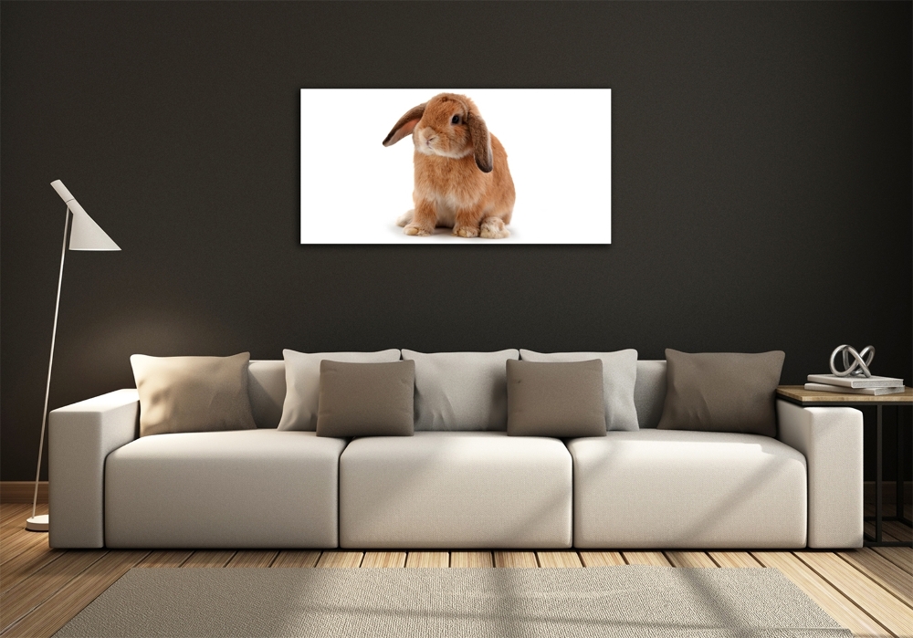 Tableau en verre Lapin roux