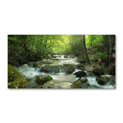 Tableau photo sur verre Cascade en forêt