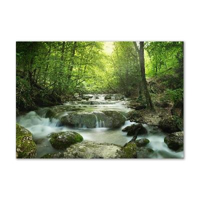 Tableau photo sur verre Cascade en forêt