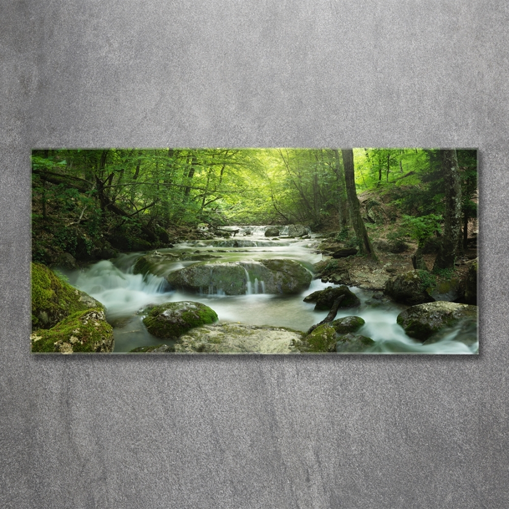 Tableau photo sur verre Cascade en forêt