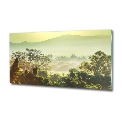 Tableau photo sur verre La jungle