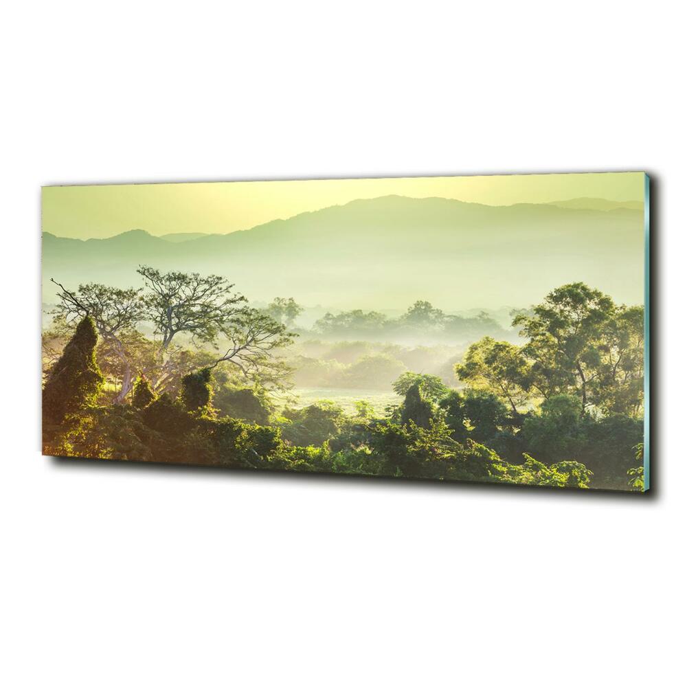 Tableau photo sur verre La jungle