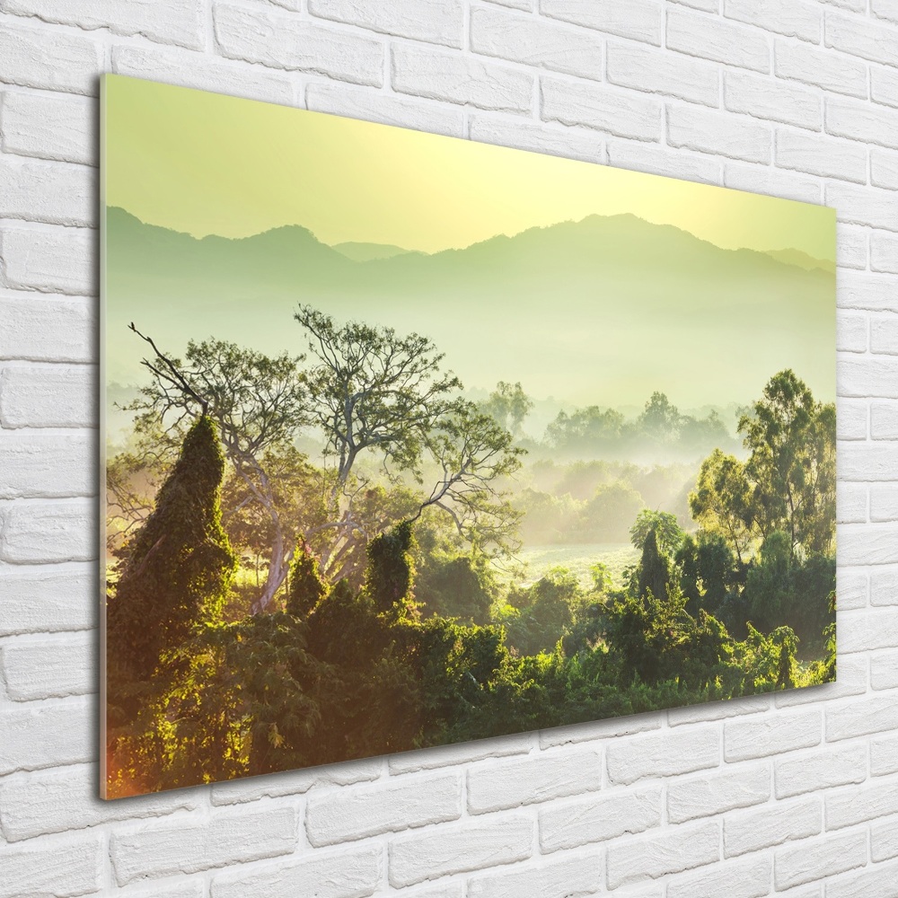 Tableau photo sur verre La jungle