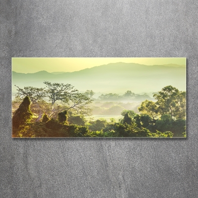 Tableau photo sur verre La jungle