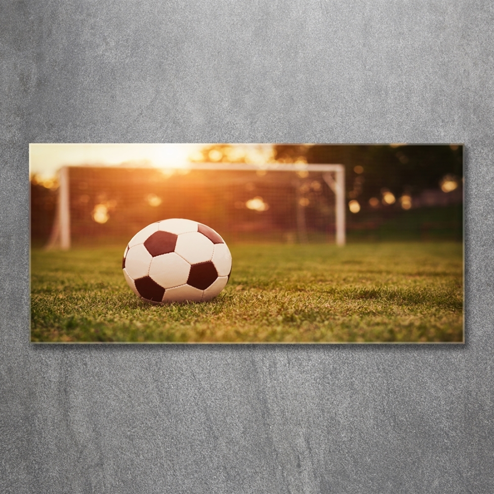 Tableau en verre Ballon sur la pelouse