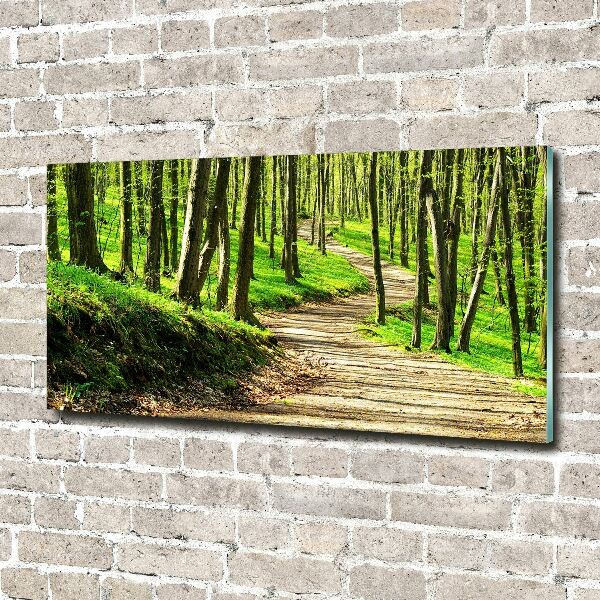 Tableau imprimé sur verre Sentier dans la forêt