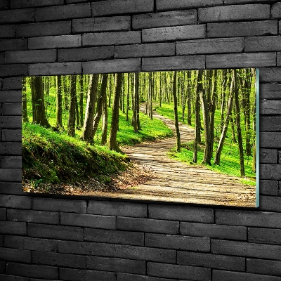 Tableau imprimé sur verre Sentier dans la forêt