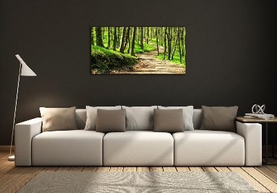 Tableau imprimé sur verre Sentier dans la forêt