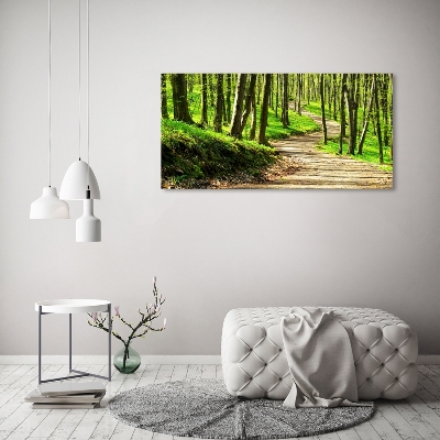 Tableau imprimé sur verre Sentier dans la forêt