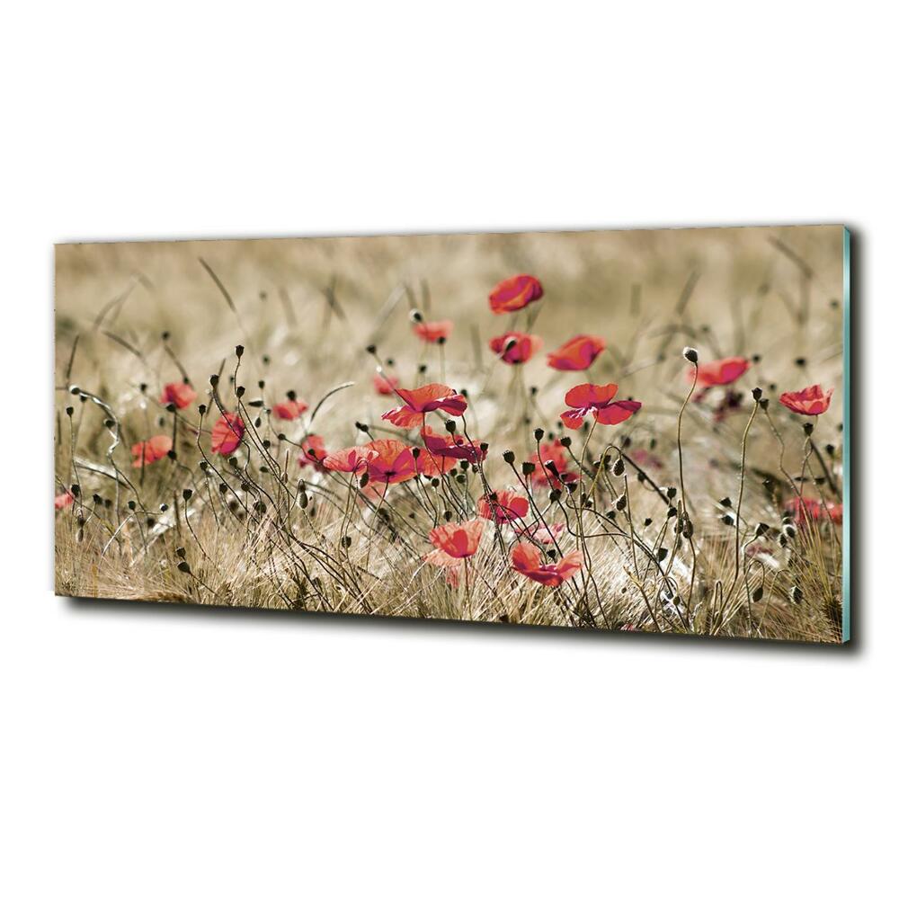 Tableau verre imprimé Coquelicots