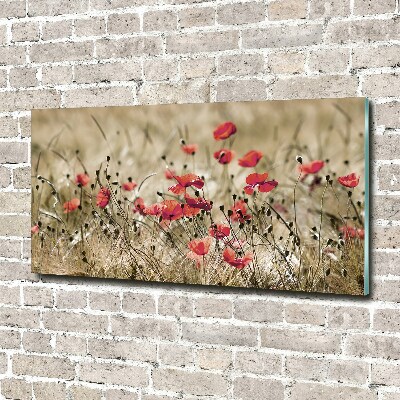 Tableau verre imprimé Coquelicots