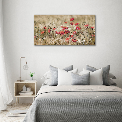 Tableau verre imprimé Coquelicots