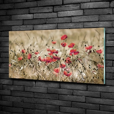 Tableau verre imprimé Coquelicots