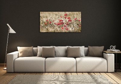 Tableau verre imprimé Coquelicots