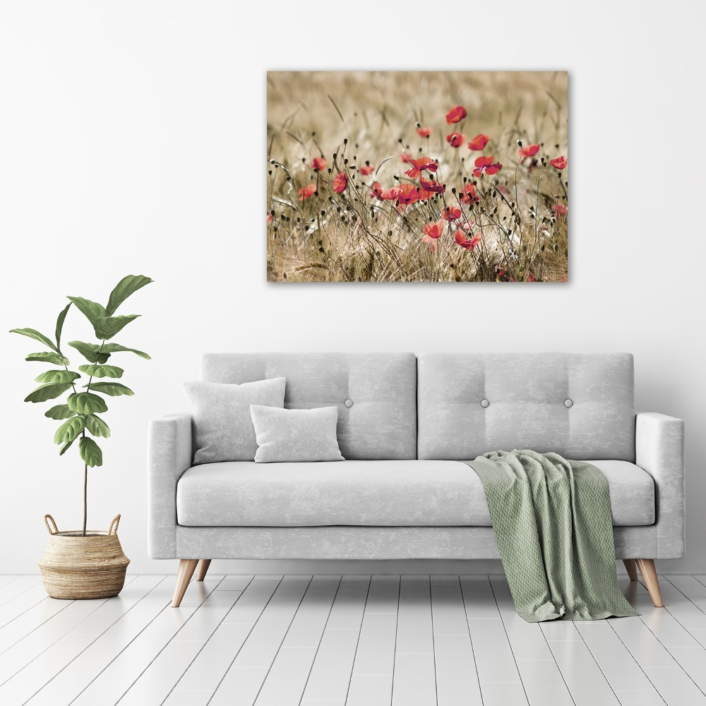 Tableau verre imprimé Coquelicots