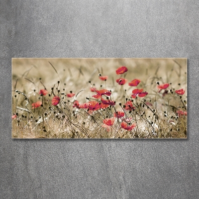 Tableau verre imprimé Coquelicots