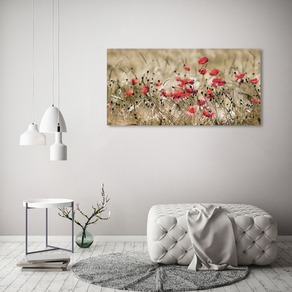 Tableau verre imprimé Coquelicots