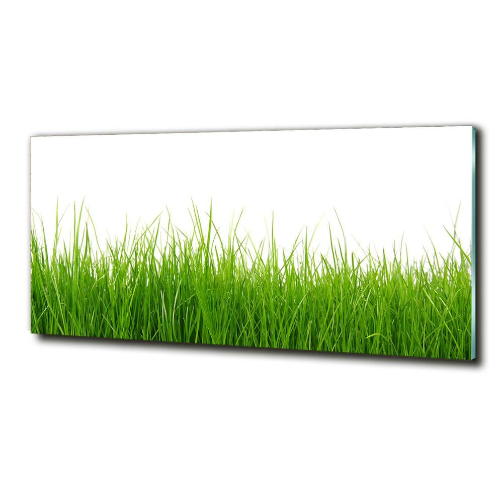 Tableau en verre Herbe