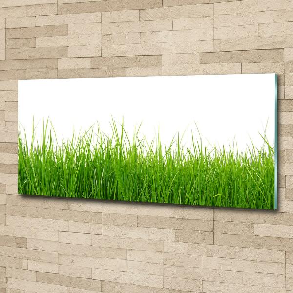 Tableau en verre Herbe