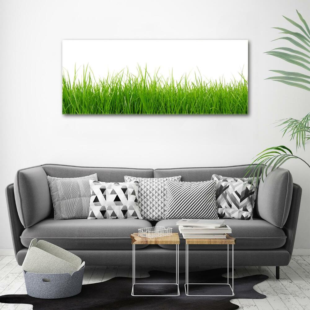 Tableau en verre Herbe