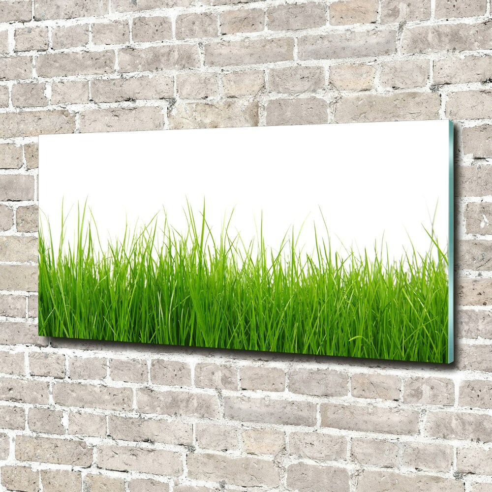 Tableau en verre Herbe