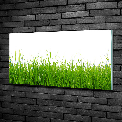 Tableau en verre Herbe