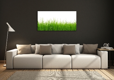 Tableau en verre Herbe