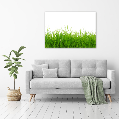 Tableau en verre Herbe