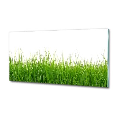 Tableau en verre Herbe