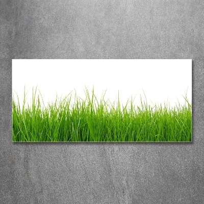 Tableau en verre Herbe