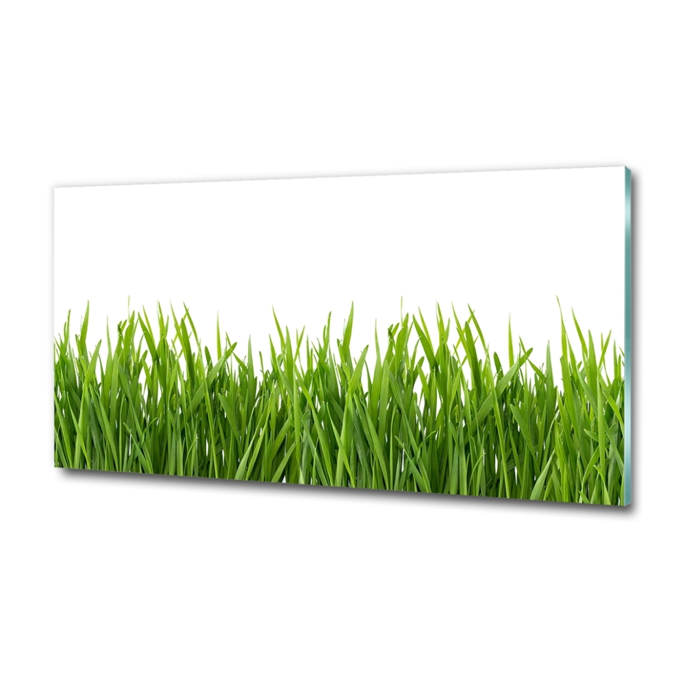 Tableau sur verre Herbe